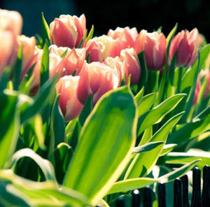 Meet your Posher, Beth